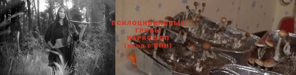герыч Лиски