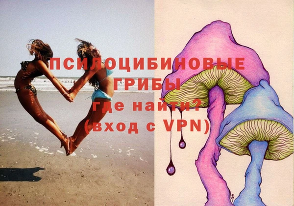 дурь Майский
