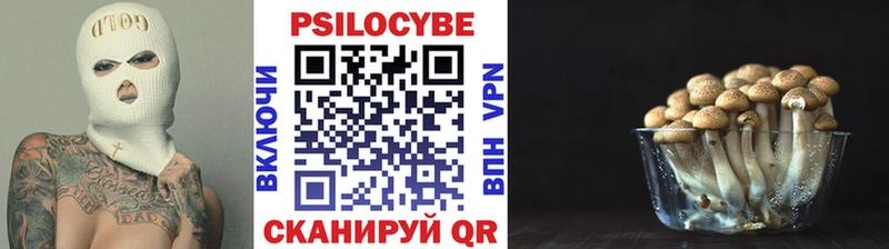 Галлюциногенные грибы MAGIC MUSHROOMS  Улан-Удэ 