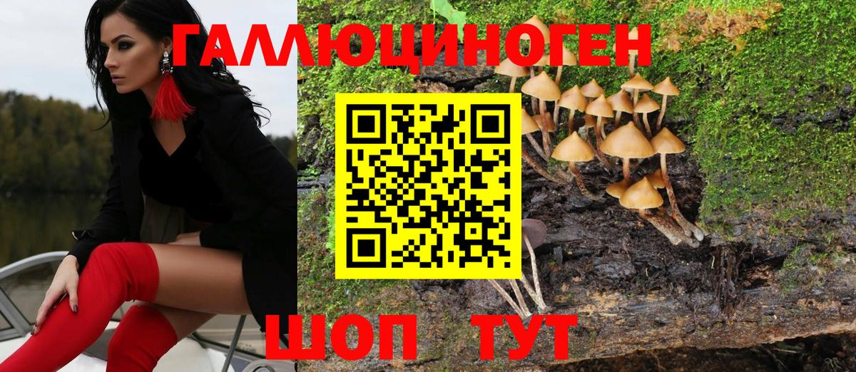 Галлюциногенные грибы прущие грибы  Псилоцибиновые грибы Magic Shrooms  Улан-Удэ  Вход с VPN 