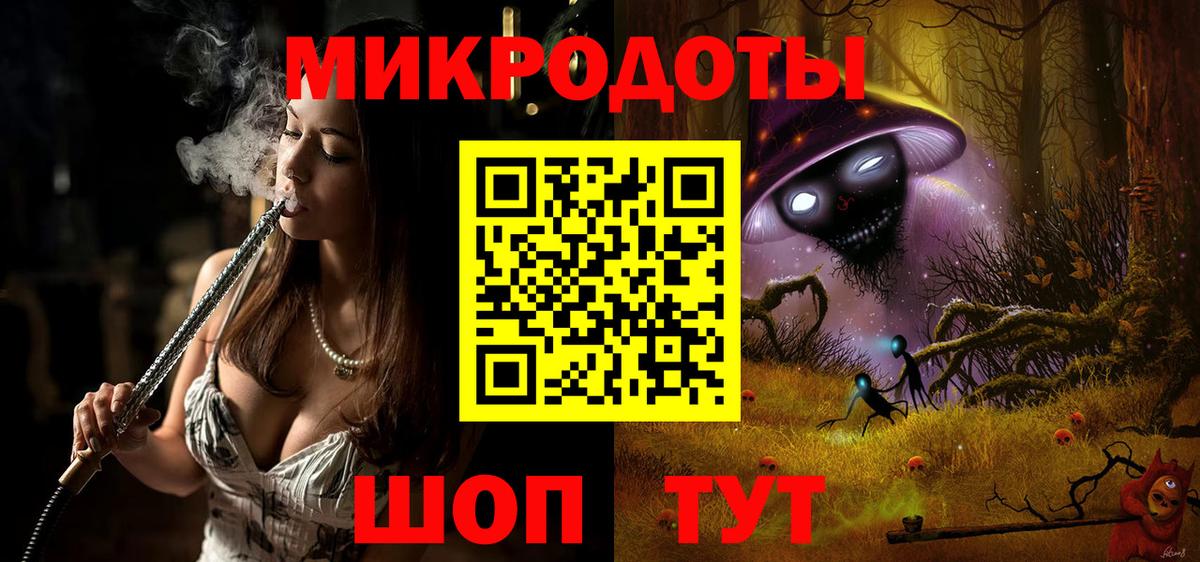 Псилоцибиновые грибы Psilocybe Улан-Удэ